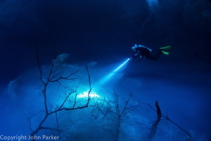 El Pit Cenote. There is a Hydrogen Sulphide Layer at 27 m... by John Parker 